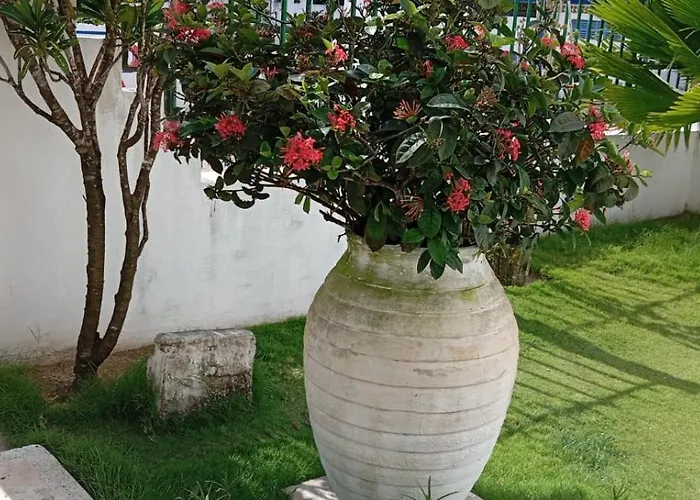 Tolu Magico, Apartamentos Amoblados Con Vista Al Mar, Elegancia Y Comodidad