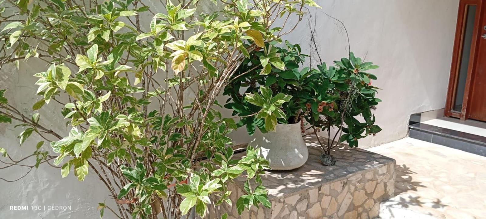 Magico, Amoblados Con Vista Al Mar, Elegancia Y Comodidad Tolu