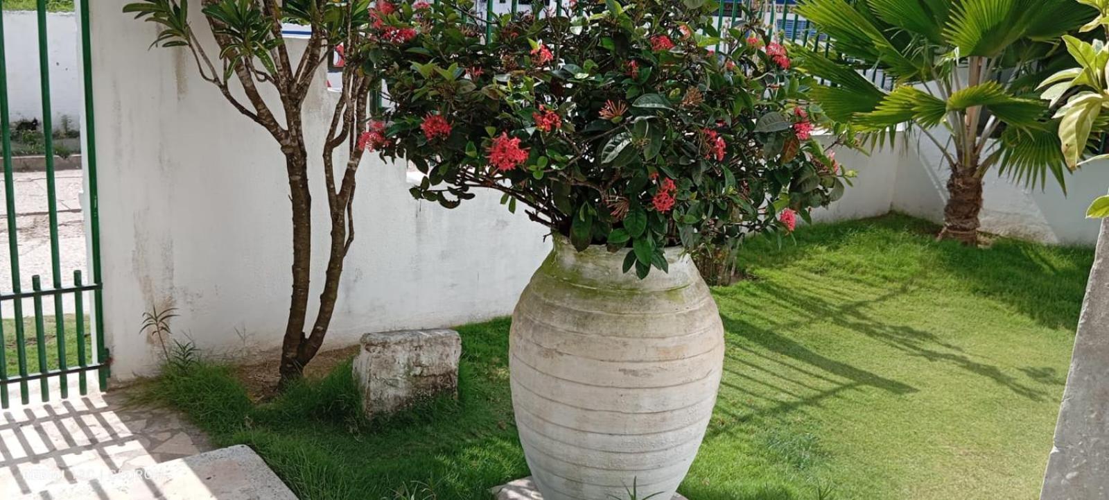 Magico, Amoblados Con Vista Al Mar, Elegancia Y Comodidad * Tolu